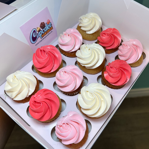 Custom Color Mini cupcakes (24)